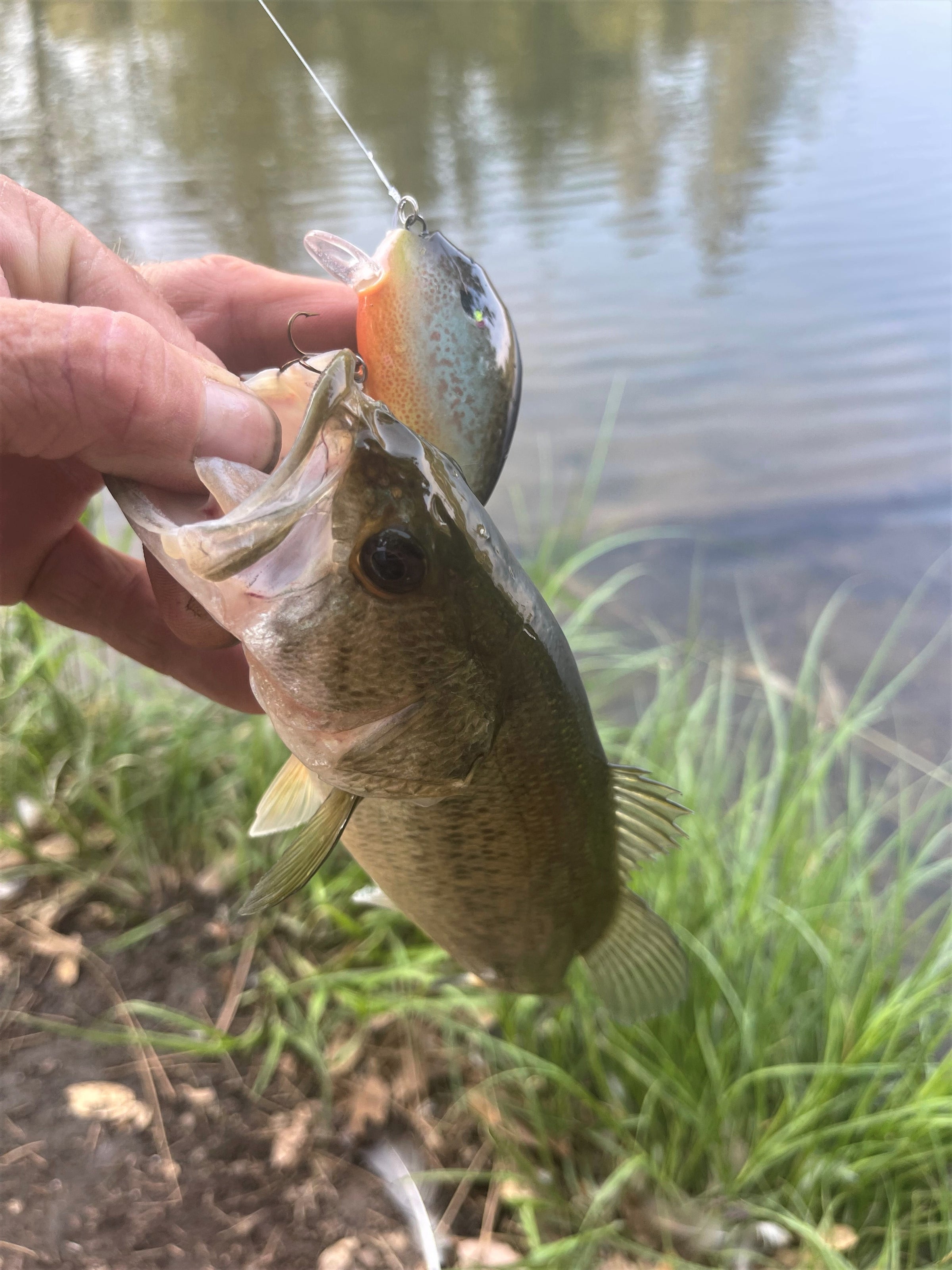 Airbrushed Lures 